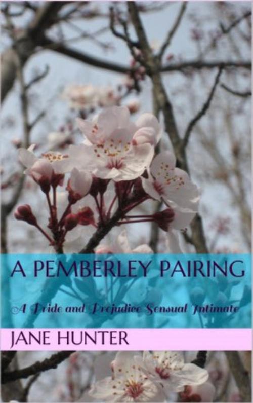 Cover of the book A Pemberley Pairing: A Pride and Prejudice Sensual Intimate by Jane Hunter, Red Thorns Press