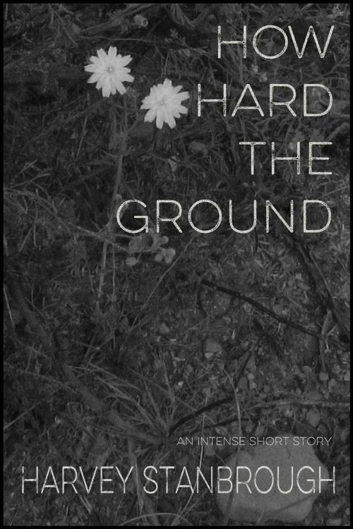 Cover of the book How Hard the Ground by Harvey Stanbrough, FrostProof808