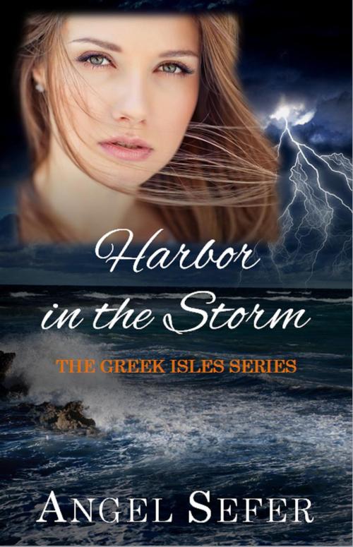 Cover of the book Harbor in the Storm by Angel Sefer, Panagiota Kalofolia