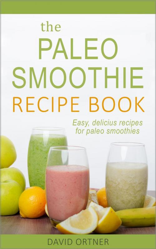 Cover of the book The Paleo Smoothie Recipe Book: Easy, Delicious Recipes for Paleo Smoothies by David Ortner, David Ortner