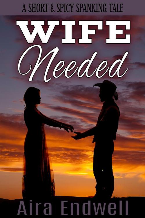 Cover of the book Wife Needed by Aira Endwell, Pair of Nines Publishing, LLC