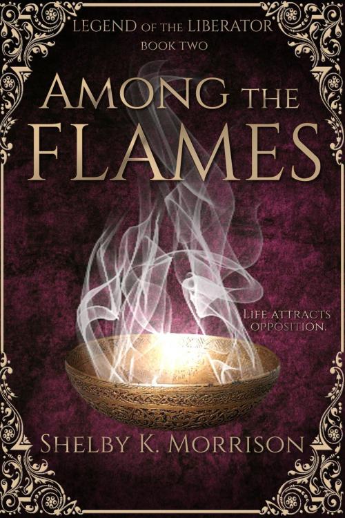 Cover of the book Among the Flames by Shelby K. Morrison, Shelby K. Morrison