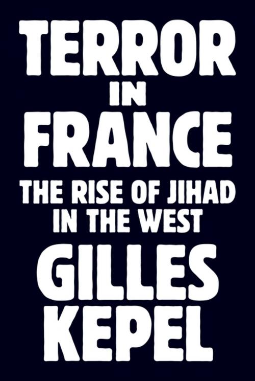 Cover of the book Terror in France by Gilles Kepel, Gilles Kepel, Princeton University Press