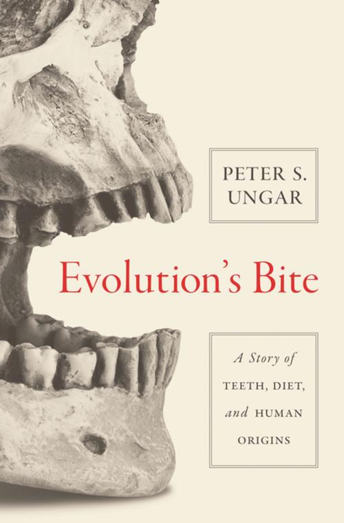 Cover of the book Evolution's Bite by Peter Ungar, Princeton University Press