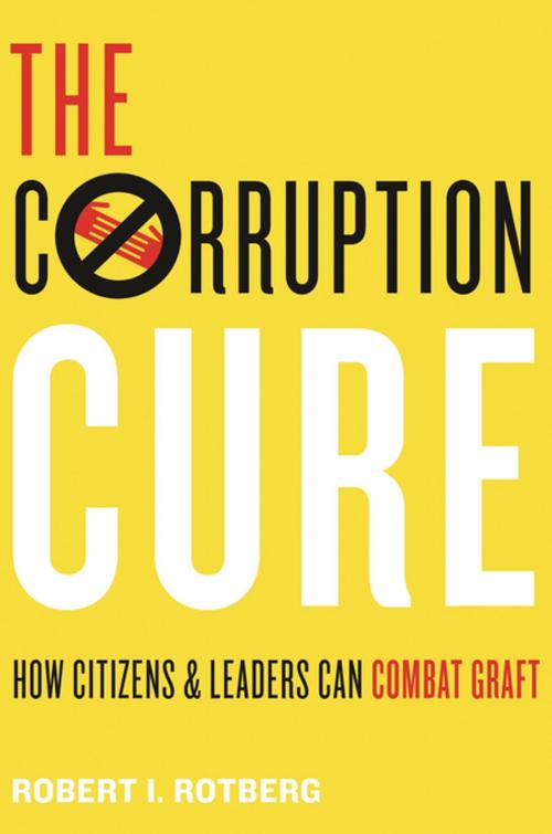 Cover of the book The Corruption Cure by Robert I. Rotberg, Princeton University Press