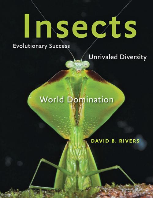 Cover of the book Insects by David B. Rivers, Johns Hopkins University Press