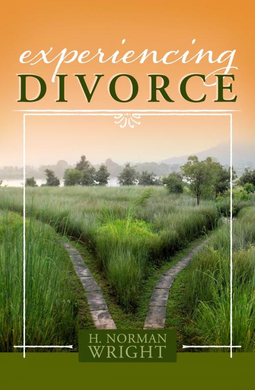 Cover of the book Experiencing Divorce by H.  Norman Wright, B&H Publishing Group