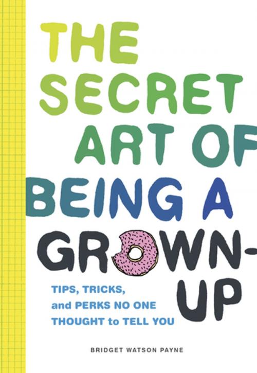 Cover of the book The Secret Art of Being a Grown-Up by , Chronicle Books LLC