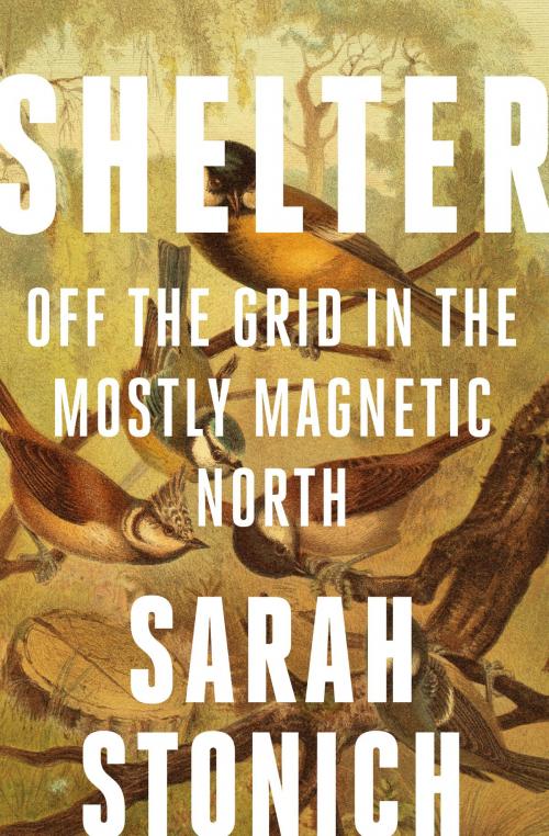 Cover of the book Shelter by Sarah Stonich, University of Minnesota Press