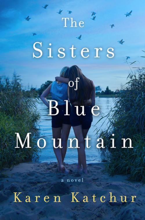 Cover of the book The Sisters of Blue Mountain by Karen Katchur, St. Martin's Press