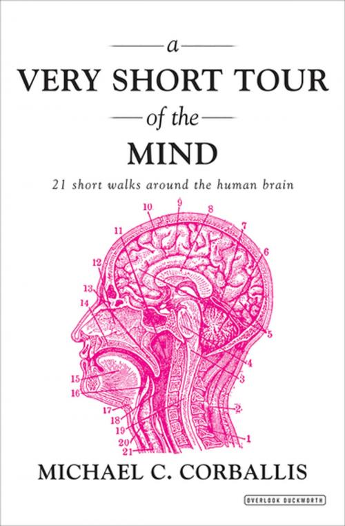 Cover of the book A Very Short Tour of the Mind by Michael C. Corballis, ABRAMS (Ignition)