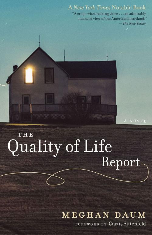 Cover of the book The Quality of Life Report by Meghan Daum, University of Texas Press
