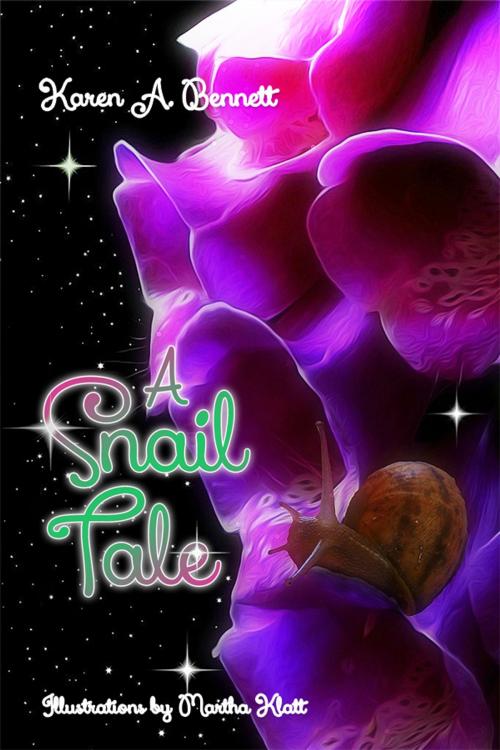 Cover of the book A Snail Tale by Karen A. Bennett, Dorrance Publishing