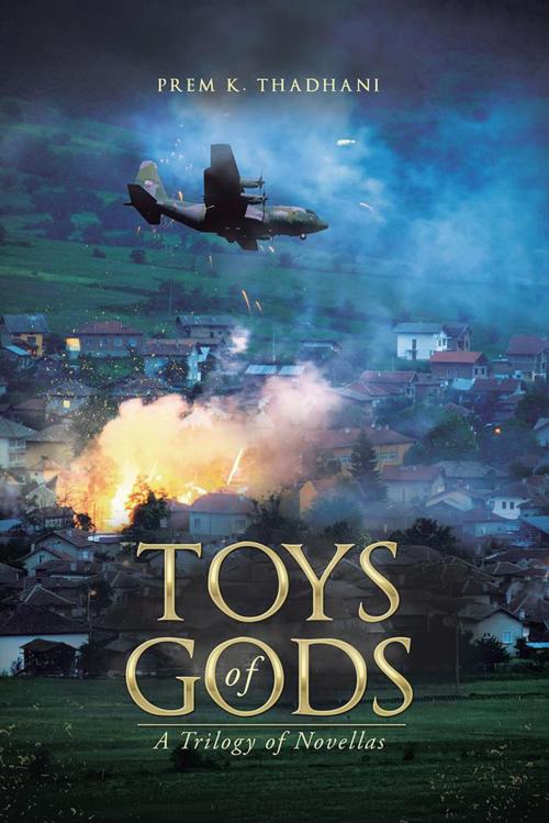 Cover of the book Toys of Gods by Prem K. Thadhani, Partridge Publishing India