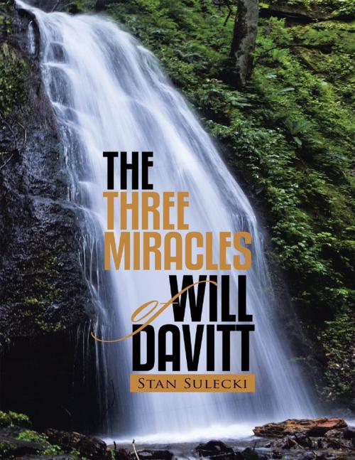 Cover of the book The Three Miracles of Will Davitt by Stan Sulecki, Lulu Publishing Services