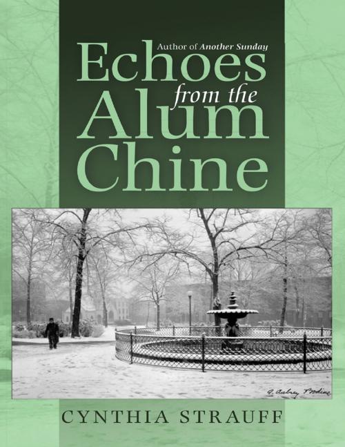Cover of the book Echoes from the Alum Chine by Cynthia Strauff, Lulu Publishing Services