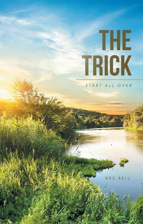 Cover of the book The Trick by Bre Bell, LifeRich Publishing