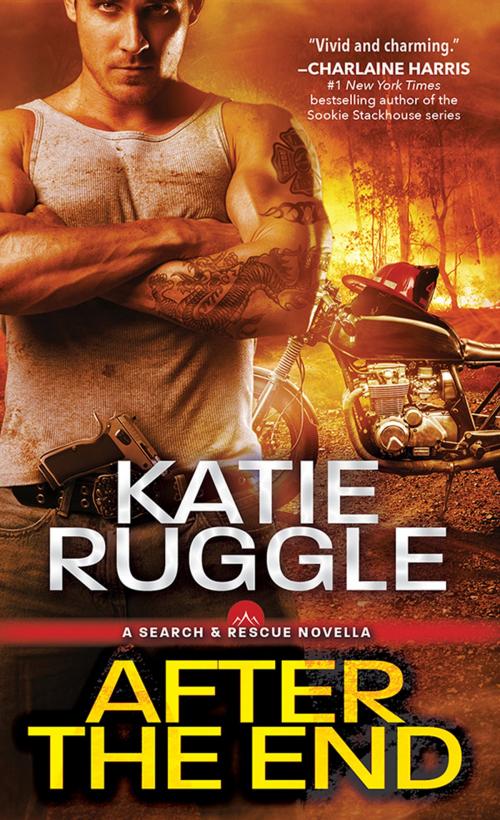 Cover of the book After the End by Katie Ruggle, Sourcebooks