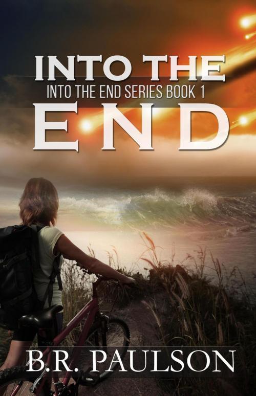 Cover of the book Into the End by B.R. Paulson, Captiva Publishing