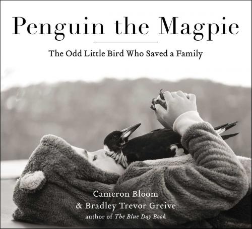 Cover of the book Penguin the Magpie by Cameron Bloom, Bradley Trevor Greive, Atria Books