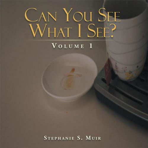 Cover of the book Can You See What I See? by Stephanie S. Muir, Balboa Press AU
