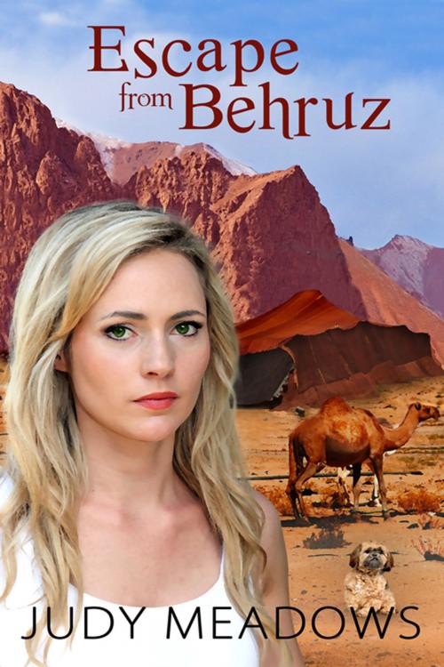 Cover of the book Escape from Behruz by Judy  Meadows, The Wild Rose Press, Inc.