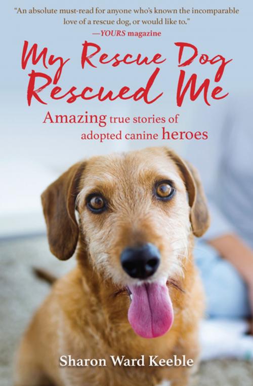 Cover of the book My Rescue Dog Rescued Me by Sharon Ward Keeble, Skyhorse Publishing