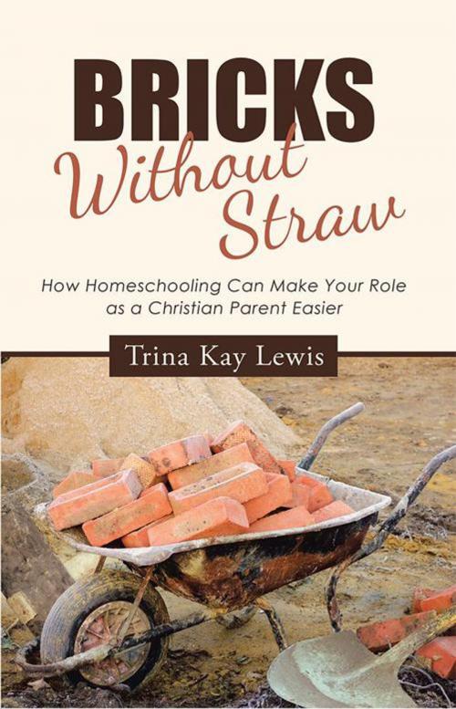 Cover of the book Bricks Without Straw by Trina Kay Lewis, WestBow Press
