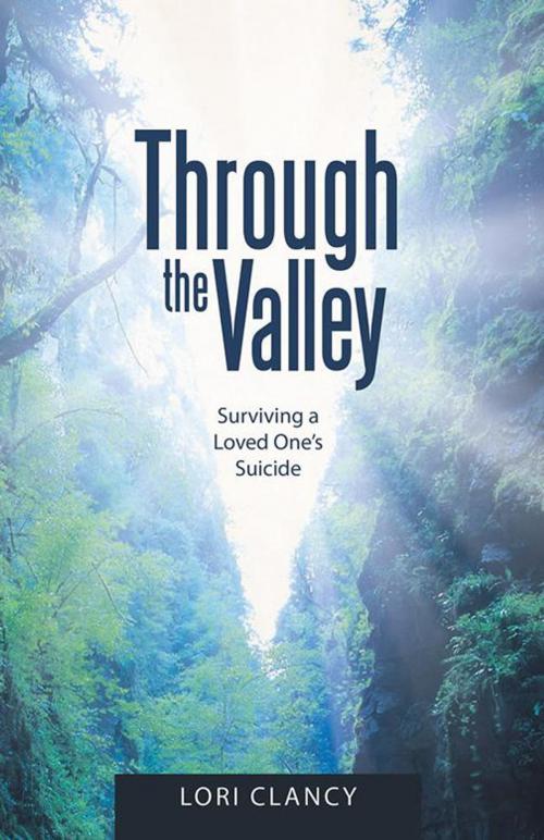 Cover of the book Through the Valley by Lori Clancy, WestBow Press