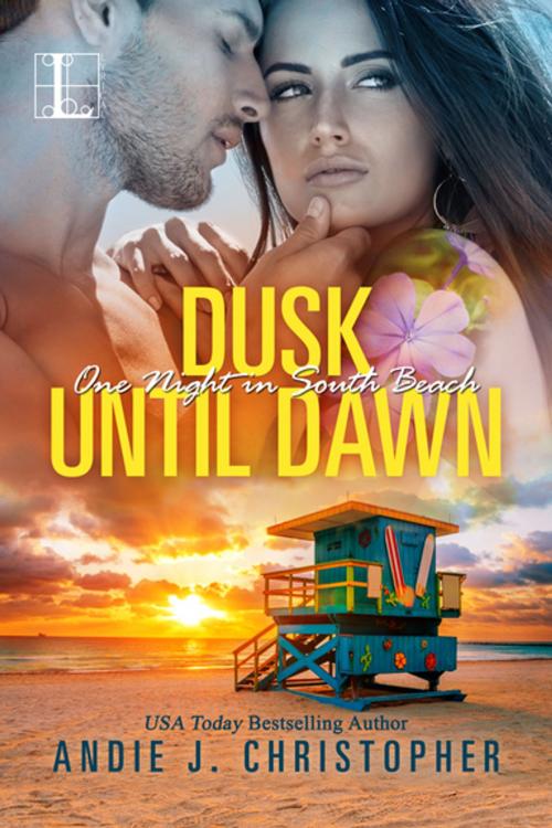 Cover of the book Dusk until Dawn by Andie J. Christopher, Lyrical Press