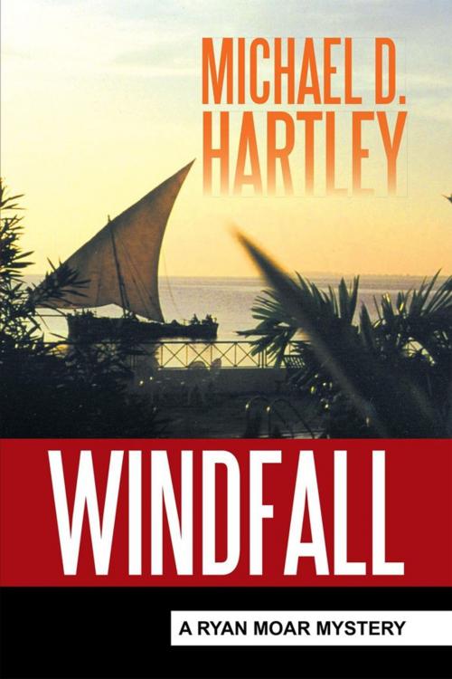 Cover of the book Windfall by Michael D. Hartley, Xlibris US
