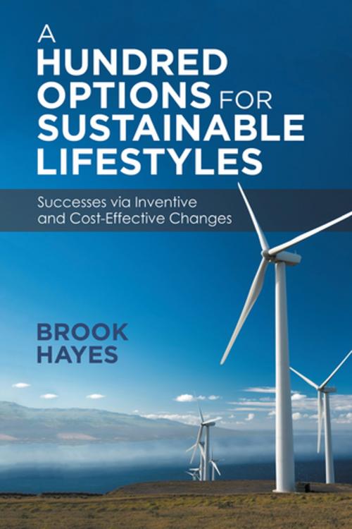 Cover of the book A Hundred Options for Sustainable Lifestyles by Brook Hayes, iUniverse