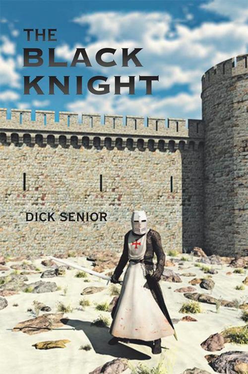 Cover of the book The Black Knight by Dick Senior, Xlibris US