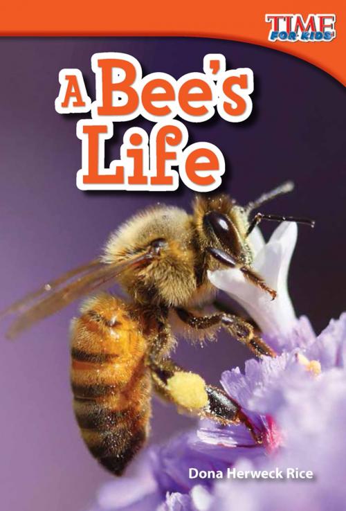 Cover of the book A Bee's Life by Dona Herweck Rice, Teacher Created Materials