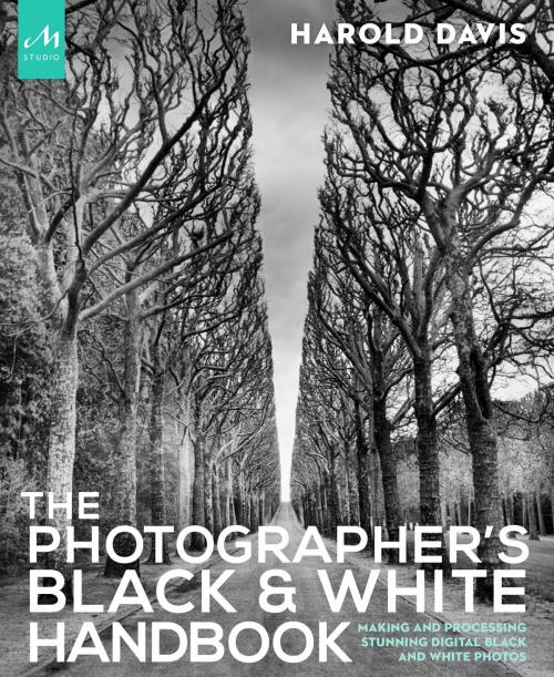 Cover of the book The Photographer's Black and White Handbook by Harold Davis, Phyllis Davis, The Monacelli Press