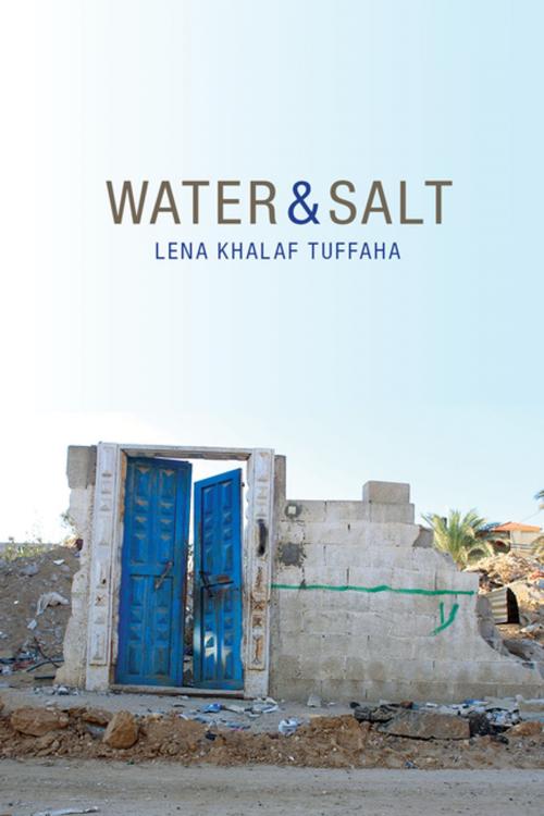 Cover of the book Water & Salt by Lena Khalaf Tuffaha, Red Hen Press