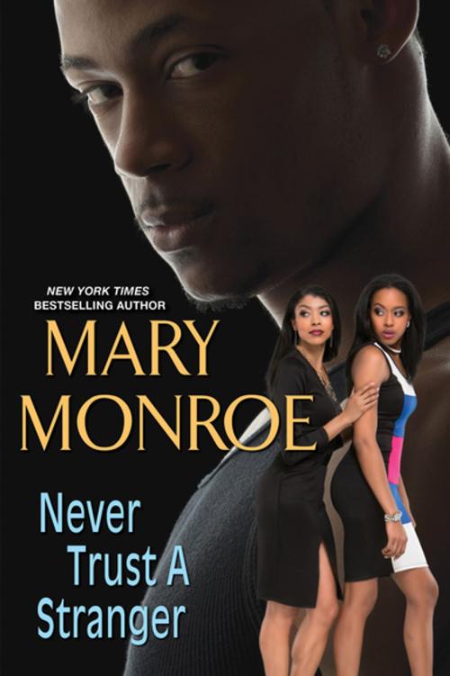 Cover of the book Never Trust a Stranger by Mary Monroe, Kensington Books