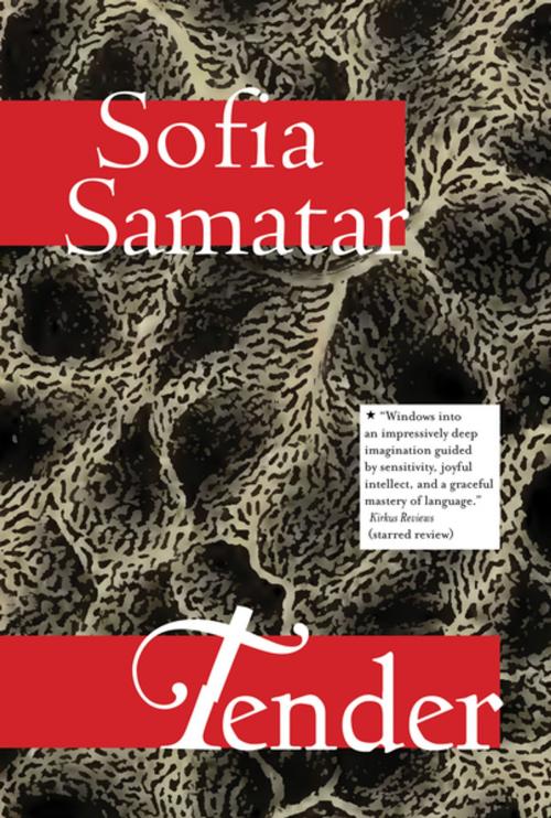 Cover of the book Tender by Sofia Samatar, Small Beer Press