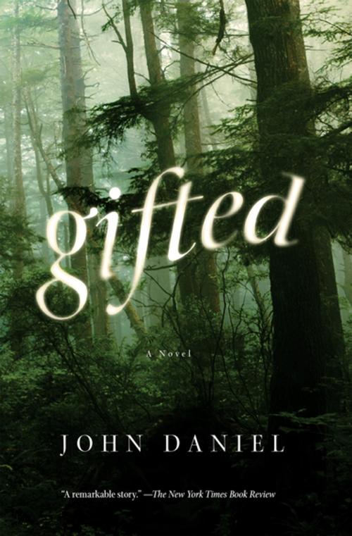 Cover of the book Gifted by John Daniel, Counterpoint