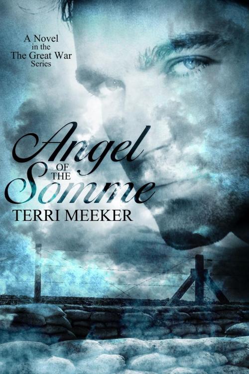 Cover of the book Angel of the Somme by Terri Meeker, Terri Meeker