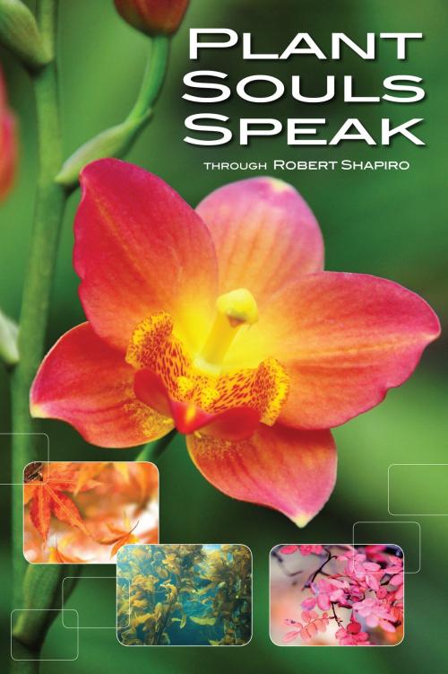 Cover of the book Plant Souls Speak by Robert Shapiro, Light Technology Publishing