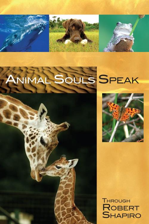 Cover of the book Animal Souls Speak by Robert Shapiro, Light Technology Publishing