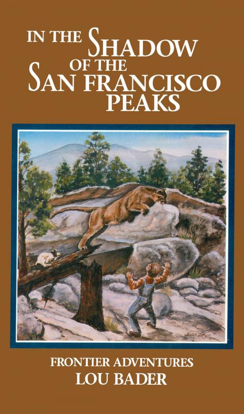 Cover of the book In the Shadow of the San Francisco Peaks by Lou Bader, Light Technology Publishing