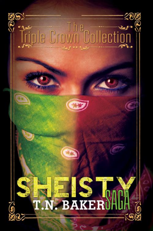 Cover of the book The Sheisty Saga by T.N. Baker, Urban Books