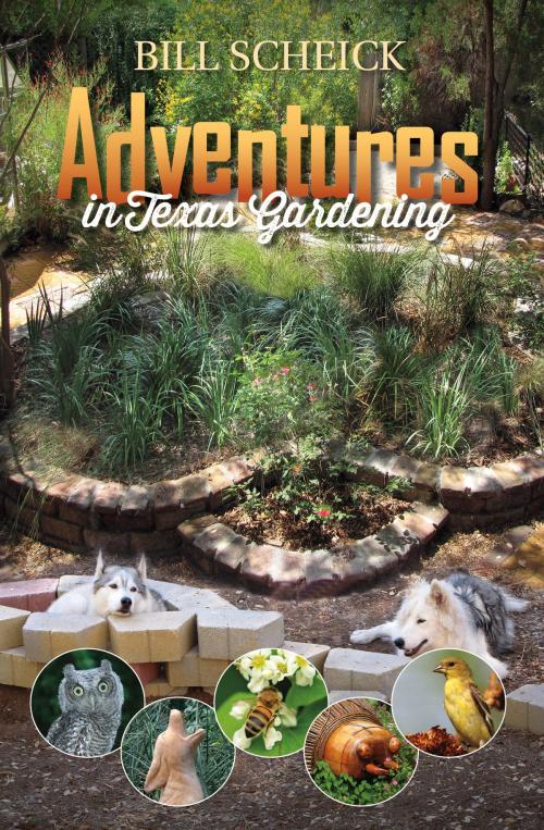 Cover of the book Adventures in Texas Gardening by Bill Scheick, Texas A&M University Press