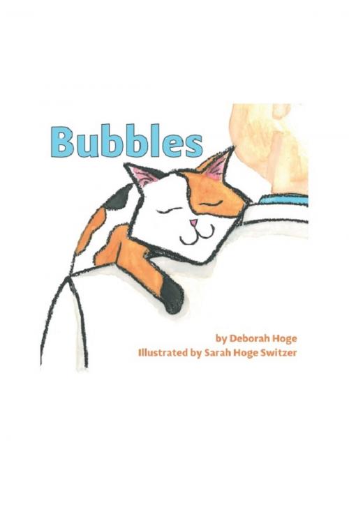 Cover of the book Bubbles by Deborah Hoge, Wheatmark, Inc.