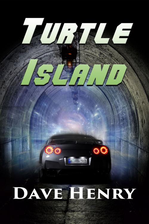 Cover of the book Turtle Island by Dave Henry, World Castle Publishing, LLC