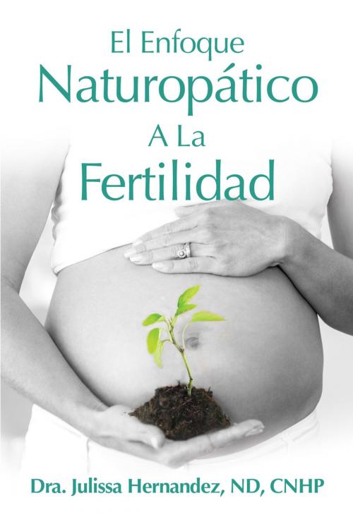 Cover of the book El Enfoque Naturopática A La Fertilidad by Julissa Hernandez, Mango Media