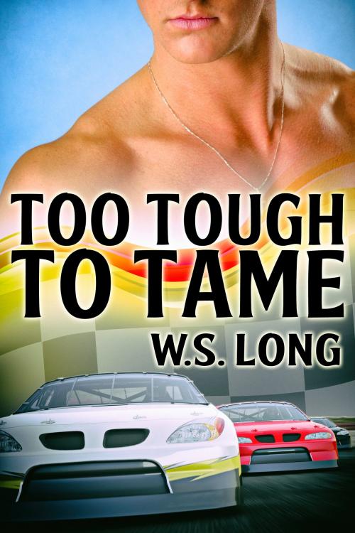 Cover of the book Too Tough to Tame by W.S. Long, JMS Books LLC