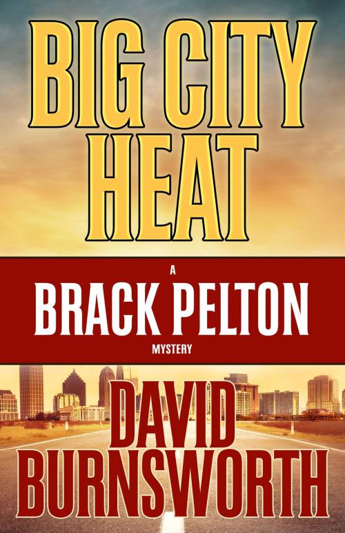 Cover of the book BIG CITY HEAT by David Burnsworth, Henery Press